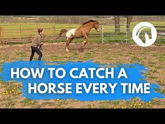 a man is running with a horse in an enclosed area that says how to catch a horse every time