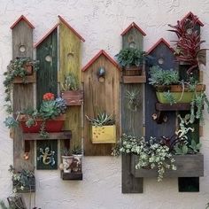 an instagram page with wooden birdhouses and succulents on the wall