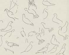 an image of birds flying in the air sketched with black marker on white paper