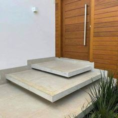 two concrete steps in front of a wooden door