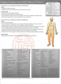 Lung Meridian, Fear Of Needles, Tcm Traditional Chinese Medicine, Meridian Energy, Acupuncture Needles, Five Elements, Western Medicine, 5 Elements, Large Intestine