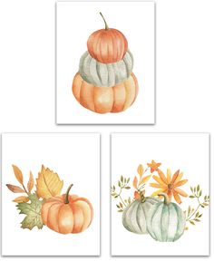 three watercolor paintings of pumpkins and flowers