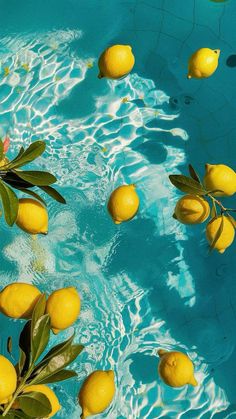 many lemons floating in the water near each other