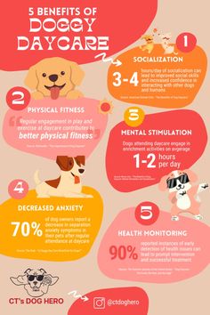 the benefits of dog care for dogs info