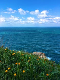 the ocean is blue with clouds and yellow flowers