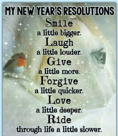 a white horse with a red bird on it's forehead and the words, my new year's resolution