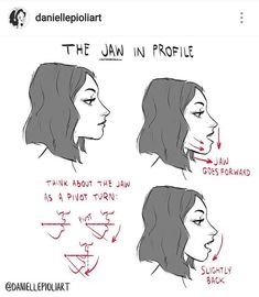 the jaw in profile and how to use it for facial expression, drawing by danielle epolakit