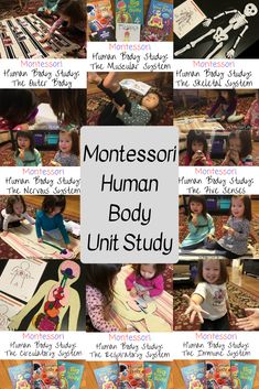 the montessor human body unit study is shown with pictures and text on it