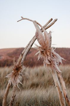 two dead branches in the middle of a field with grass and hills in the background