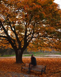 a woman sitting on a bench under a large tree in the fall time with leaves covering the ground