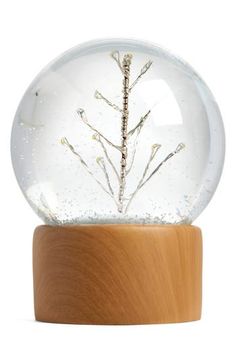 a snow globe sitting on top of a wooden stand with a plant in it's center