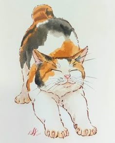 a watercolor drawing of a cat with its head on the back of it's tail