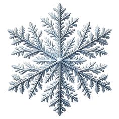 a snowflake that looks like it has been made out of frosty leaves