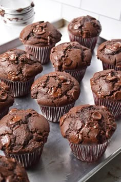 chocolate muffins are lined up on a baking sheet