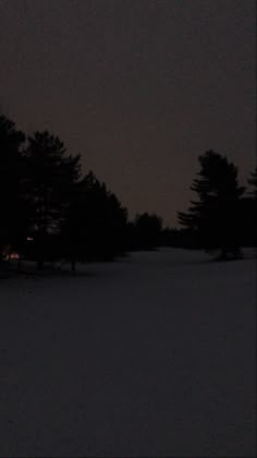 the sky is dark and there are some trees in the snow at night with lights on