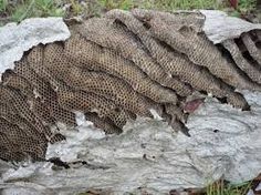 a piece of wood that has been carved into some kind of rock with mesh covering it