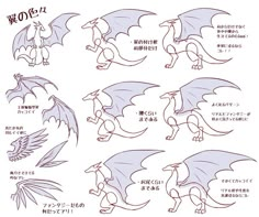 how to draw a dragon with different poses and body shapes in anime style for beginners