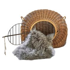 a dog is sitting in a basket with its head on the back of it's bed