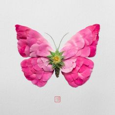 a pink flower with a green insect on it's back end is shown in front of a white background