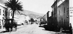 an old black and white photo of a horse drawn carriage on a city street with palm trees in the foreground