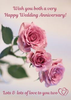 three pink roses are in front of a white background with the words, wish you both a very happy wedding anniversary