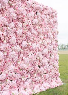 a large pink flower covered wall in the grass