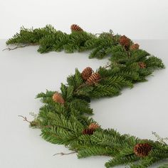 pine cones and evergreen needles are arranged in the shape of a spiral on a white surface