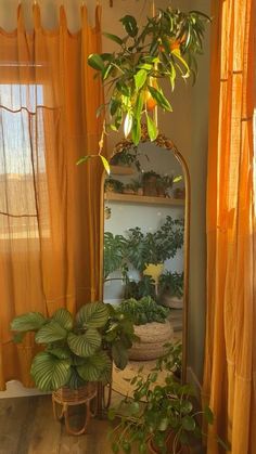 a mirror sitting on top of a wooden table next to potted plants in front of a window