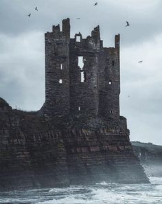 an old castle sitting on top of a rocky cliff next to the ocean with seagulls flying around