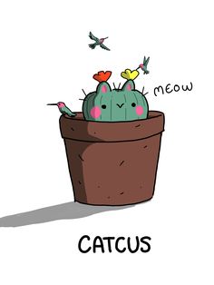 a cactus in a pot with the word meow on it and birds flying around