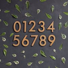 the numbers are made out of wood with leaves around them on a black background that is surrounded by green leaves