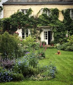 a dog is sitting in the grass near some flowers and plants outside of a house