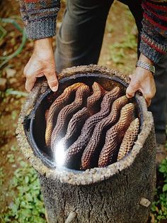 a person holding a metal bowl filled with worms