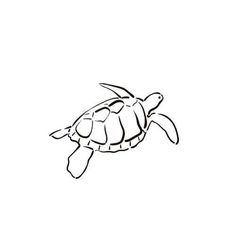 a drawing of a sea turtle