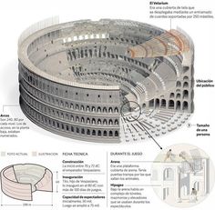 an image of the inside of a roman collision with its details labeled in spanish