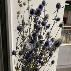 a vase filled with blue flowers sitting on top of a window sill next to a white wall