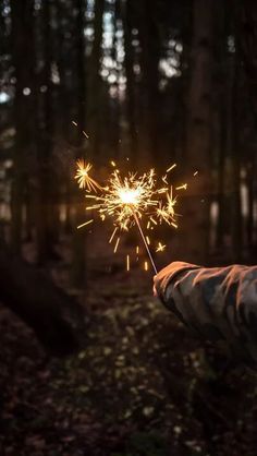 a person holding a sparkler in the woods with trees in the backgroud