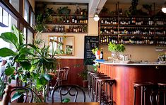 an empty bar with lots of bottles on the wall and plants in pots behind it