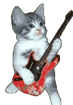 a kitten is playing with a guitar and holding it in its paws as if to play music