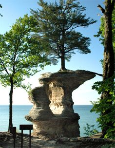 there is a rock formation in the woods by the water