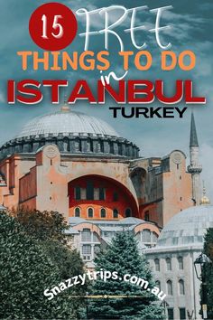 the top ten things to do in istanbul turkey with text overlay