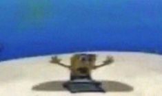 a monkey sitting on top of a surfboard with his arms out and legs spread wide