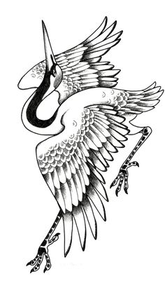 a drawing of a bird with wings spread out and an arrow in the middle of it's body