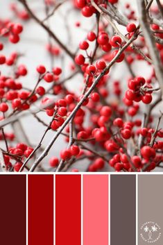 the color scheme is red, gray and white with berries on it's branches