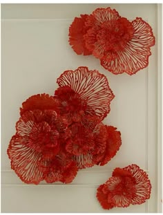 three red flowers are hanging on the wall