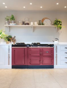 a kitchen with white cabinets and red stove top oven next to shelves filled with potted plants