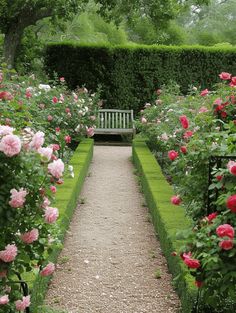 a garden filled with lots of pink flowers next to a lush green hedge covered park