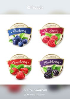 four labels for blueberry, raspberry and blackberry