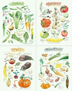 four different types of vegetables on paper