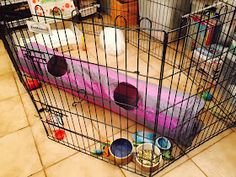 a cage filled with toys on the floor